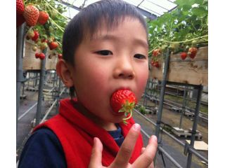 マイベリーファームの写真1