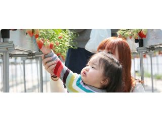 ファットリアたけぽんの写真1