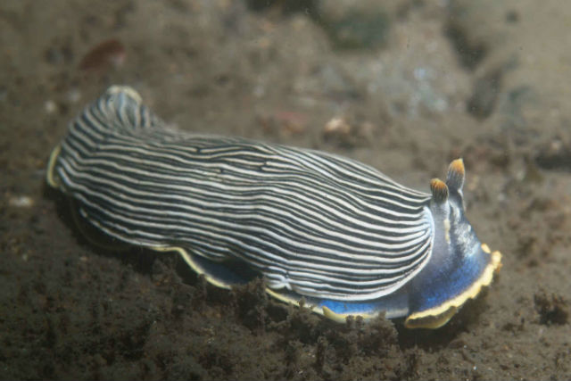 マリンサービス山形の写真1