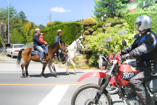 クリオステーブルの写真1