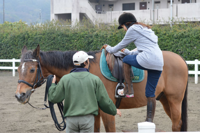 成田乗馬倶楽部の写真1