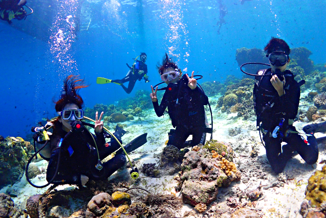 千葉のダイビングスクール  キアオラの写真1