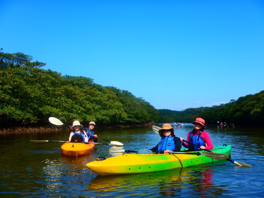 西表島カヌーツアー風車の写真1