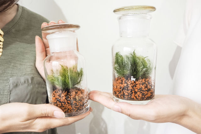 Feel The Gardenの写真1