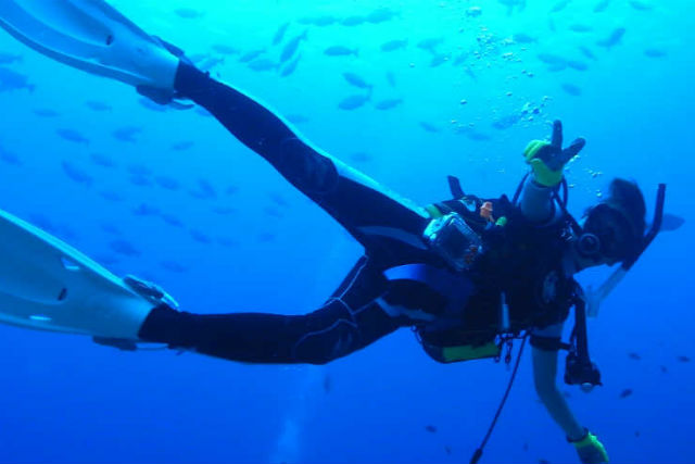 アイリーダイビングの写真1