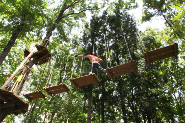 フォレストアドベンチャー・軽井沢の写真1