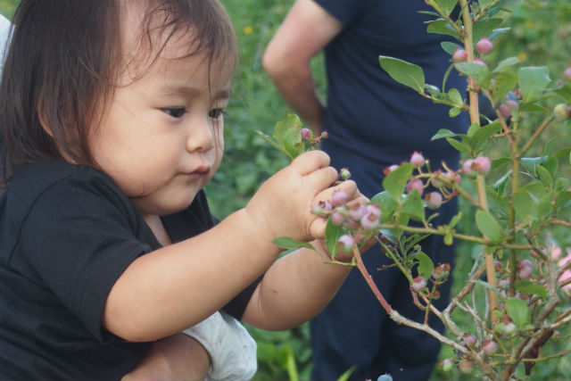ママ友ファーム戸隠の写真1