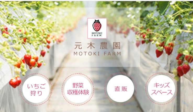 元木いちご農園の写真1