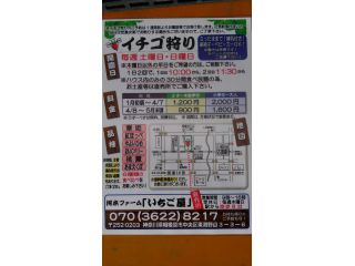 河本ファームいちご屋の写真1