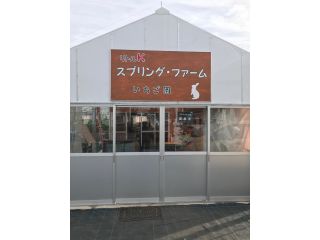 リトルK スプリングファーム いちご園の写真1