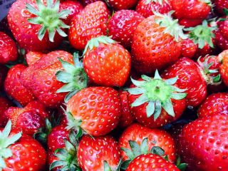 田村農園の写真1