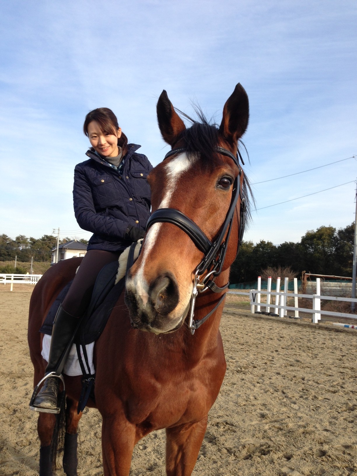 乗馬クラブ　エトワールの写真1