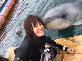 シーメイドの写真1