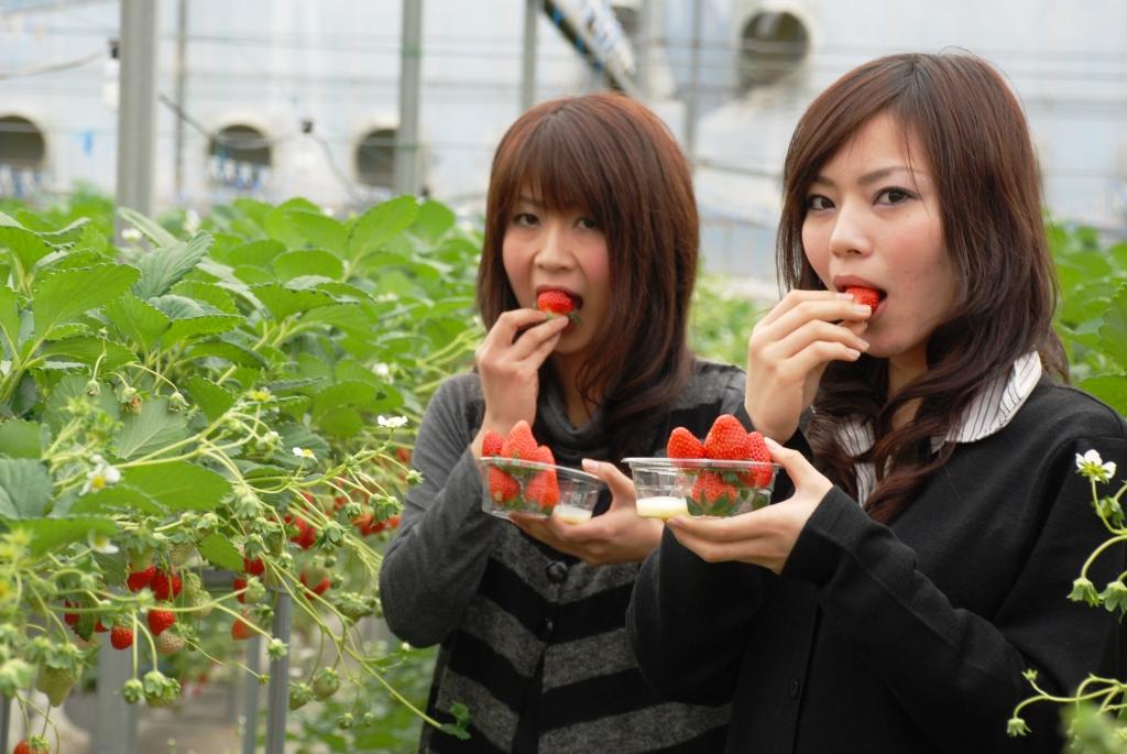 山梨FUJIフルーツパークの写真1