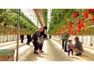 長野ベリーファームの写真1