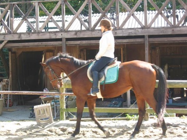 三国ウェスト農場の写真1