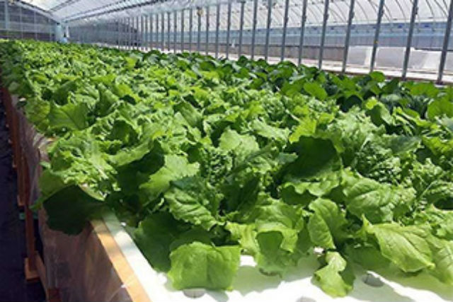 ファーム海女乃島の写真1