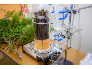 ウッディーラー豊田の写真1