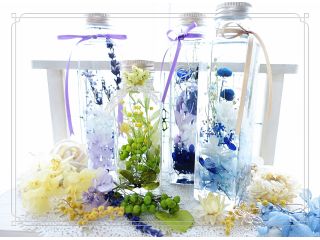 Forest　Songs 〜silva sanitatemの写真1