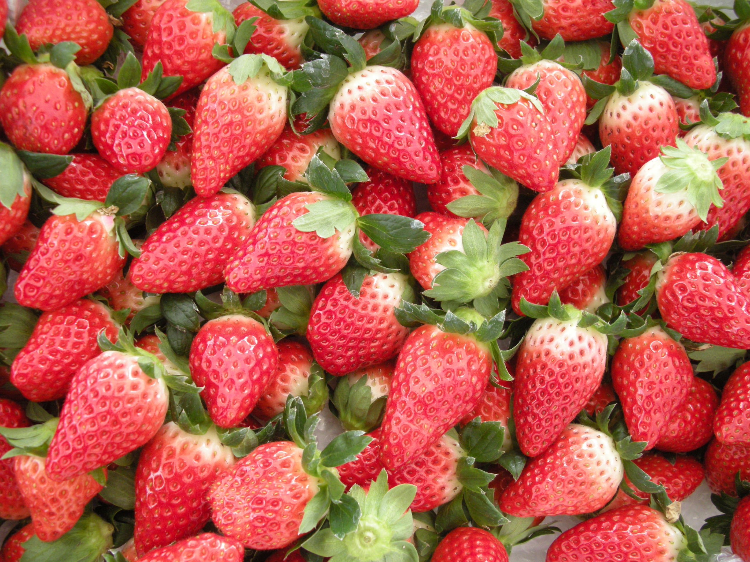 いちご園ニコニコファームの写真1