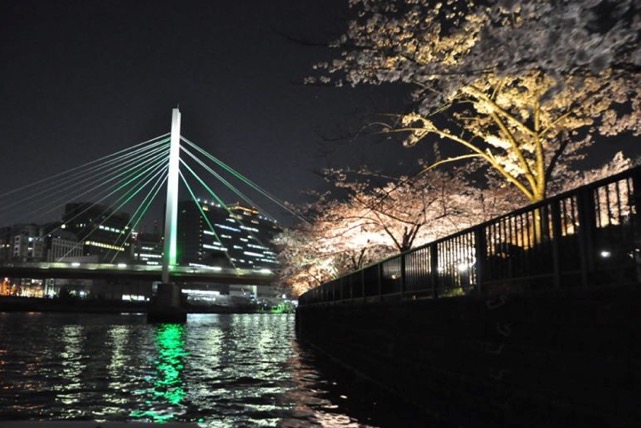 オリバーズボートの写真1