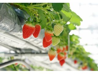 雫の里農園の写真1