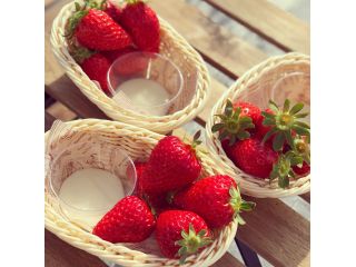 いちご園ボンガーデンの写真1