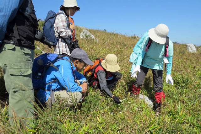 秋吉台地域エコツーリズム協会の写真1