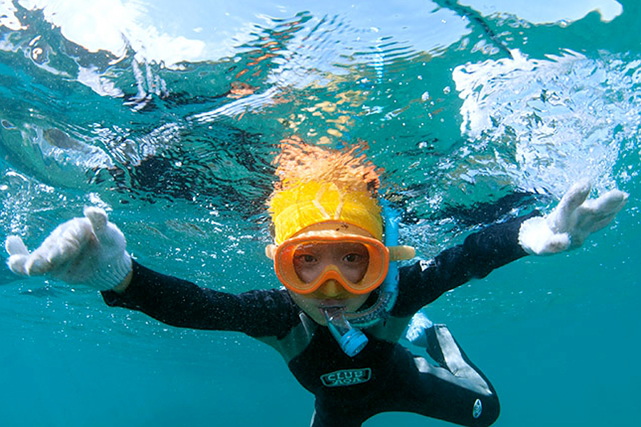 屋久島ダイビングサービス もりとうみの写真1