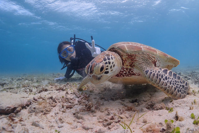 ダイブスピーシーズ奄美の写真1