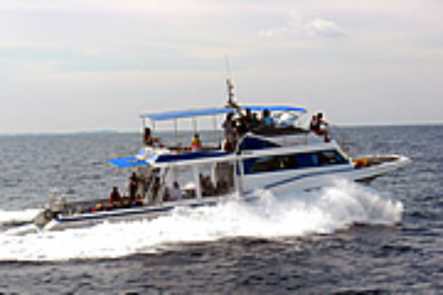 テイクダイブの写真1