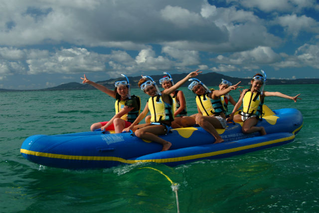 ディーシェルターの写真1