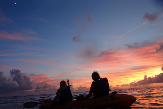 ネイチャーガイド あおしょうびんの写真1