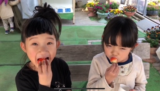 いちごハウス木場の写真1