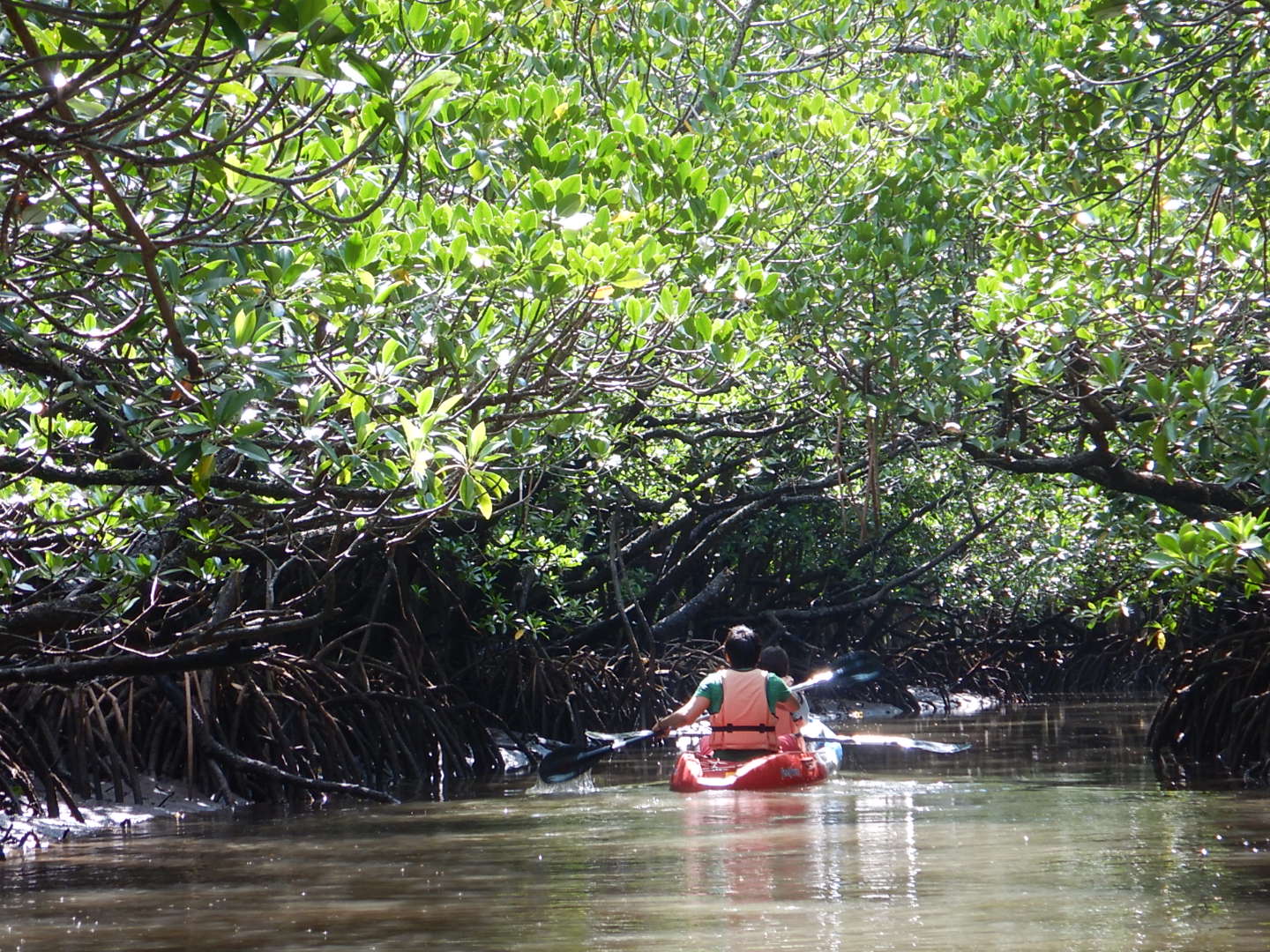 marinemate Luanaの写真1