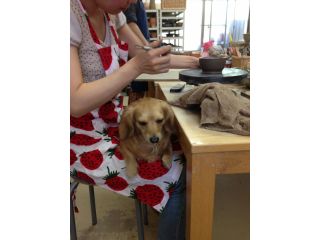 陶芸教室 和さびの写真1