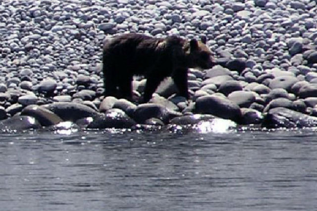 知床遊覧船 世界自然遺産 断崖クルーズの写真1