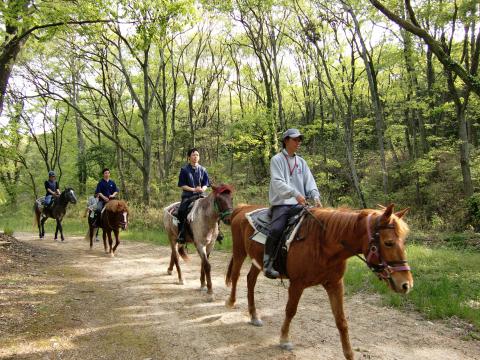 MIKIホーストレックの写真1