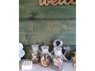 cafe mamenokiの写真1