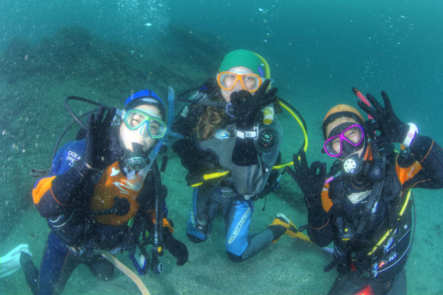 オーシャンドリームの写真1