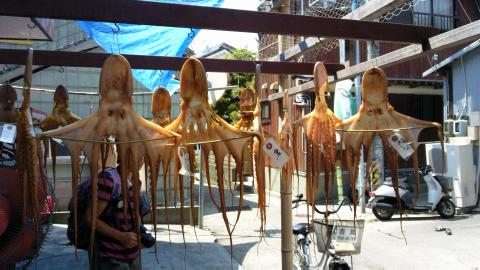 日間賀島の干物屋(かねと商店)の写真1