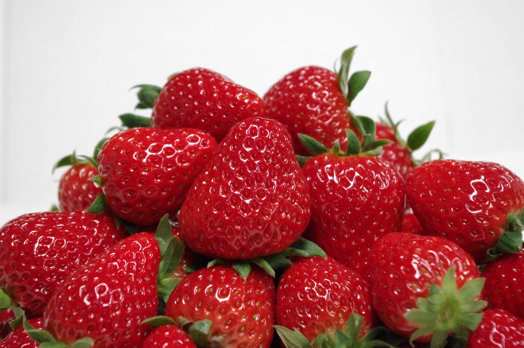 佐賀ベリーフォレストの写真1