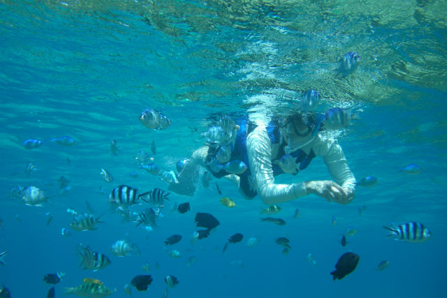 新城島観光の写真1