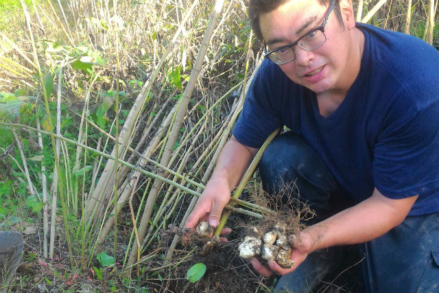 佐藤農園の写真1