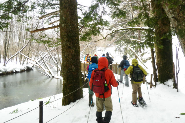 ひらゆの森の写真1