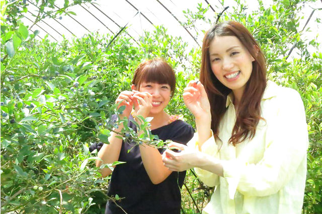 田上農園の写真1