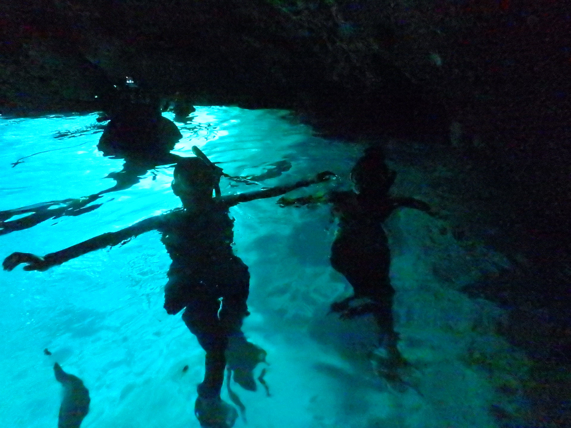 ネイチャーガイド　ダブルレインボーの写真1