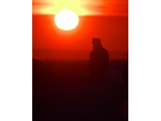 丸は宝来水産ゴジラ岩観光知床半島ラウスクルーズの写真1