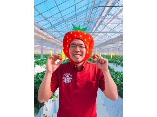 @FARM〜いちご狩り・トマト生産&直売〜の写真1