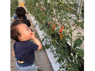 さいたま榎本農園の写真1